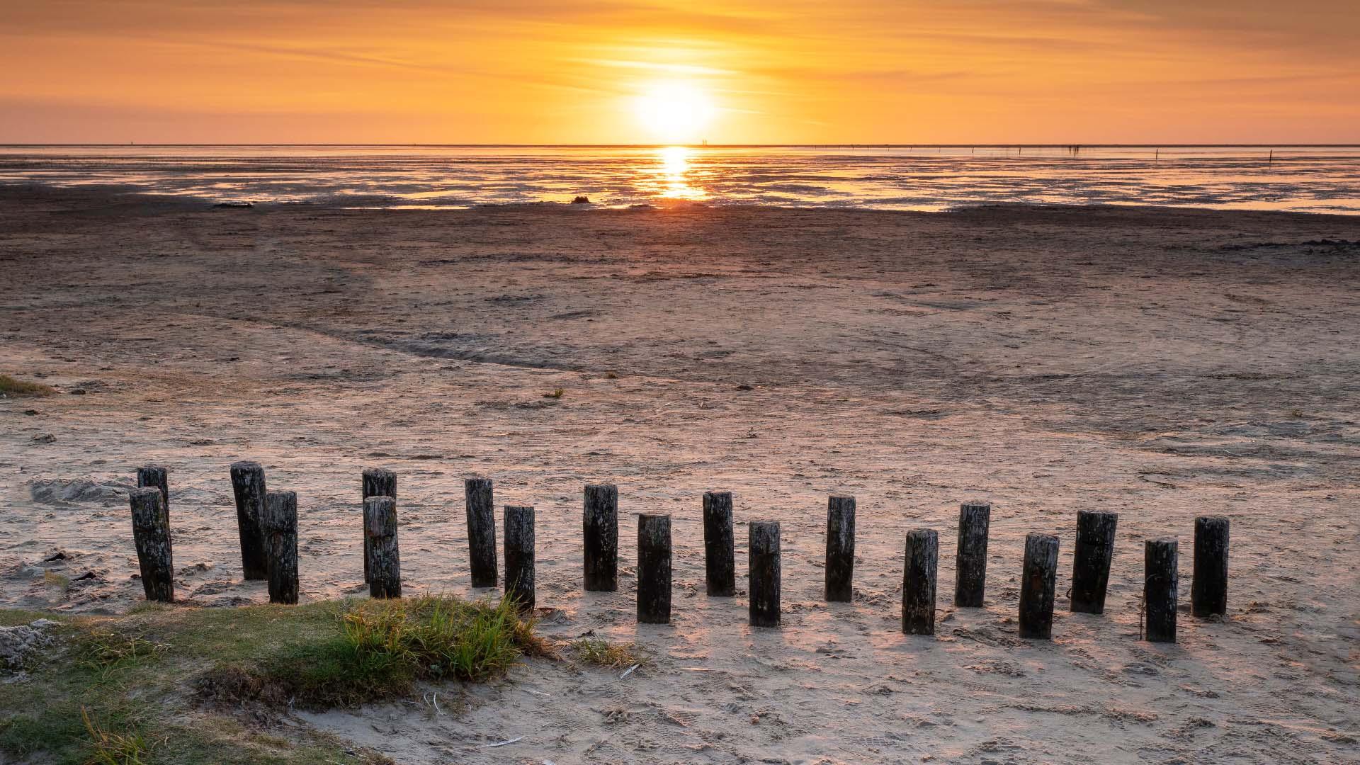 Sonnenuntergang am Wattenmeer mit Sandstrand, Holzpfählen und maritimer Küstenlandschaft