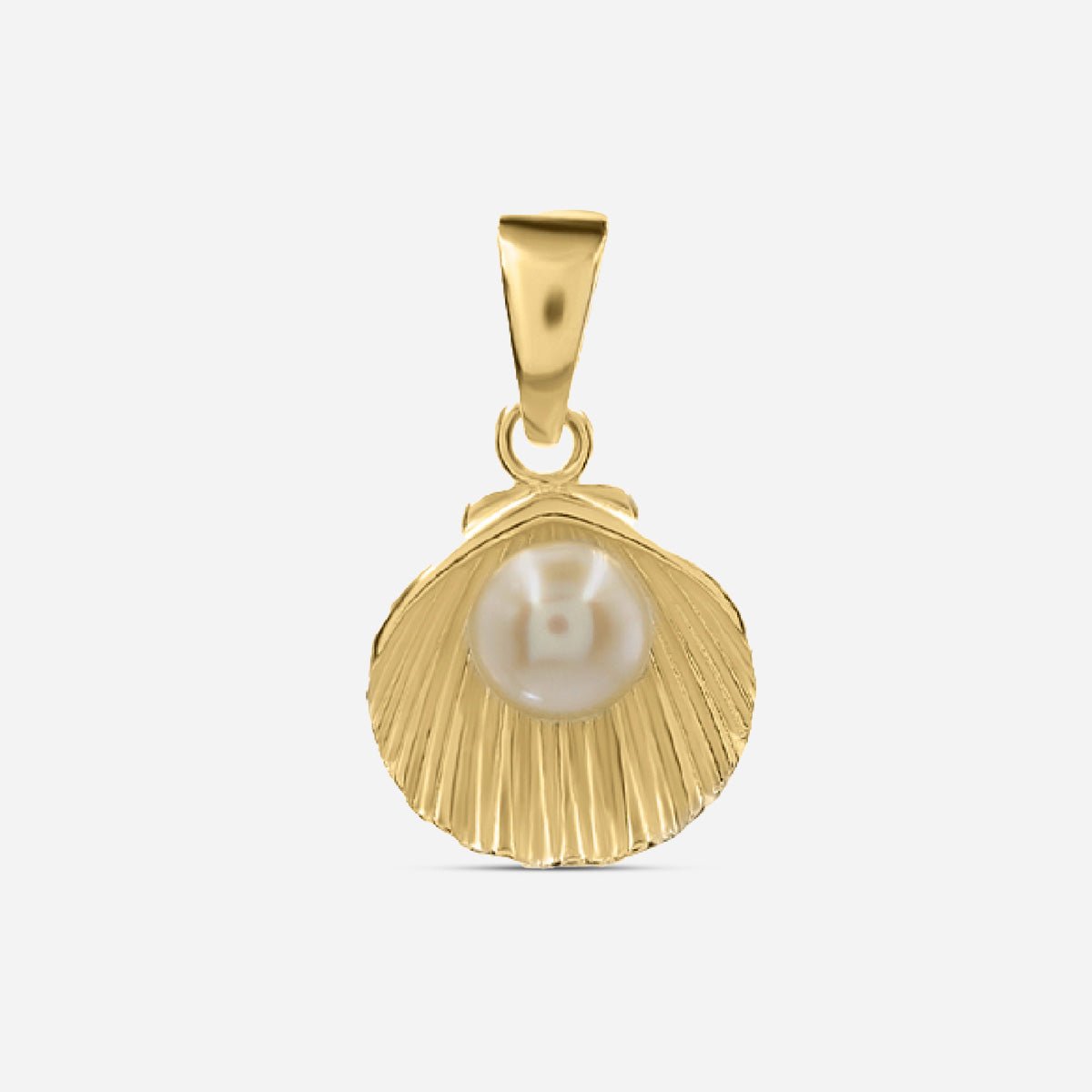 Muschel mit Perle - Gold - Nordlust®