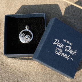 Silberner runder Anhänger mit Krebs-Motiv und Dünengras in Geschenkbox auf Sand