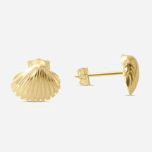 Goldene Ohrstecker in Herzmuschel-Form, maritimer Schmuck auf weißem Hintergrund