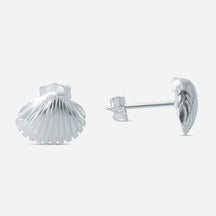 Silberne Ohrstecker in Herzmuschel-Form, maritimer Muschel-Schmuck auf weißem Hintergrund