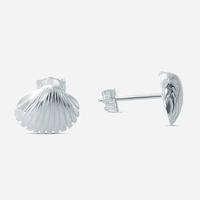 Silberne Ohrstecker in Herzmuschel-Form, maritimer Muschel-Schmuck auf weißem Hintergrund
