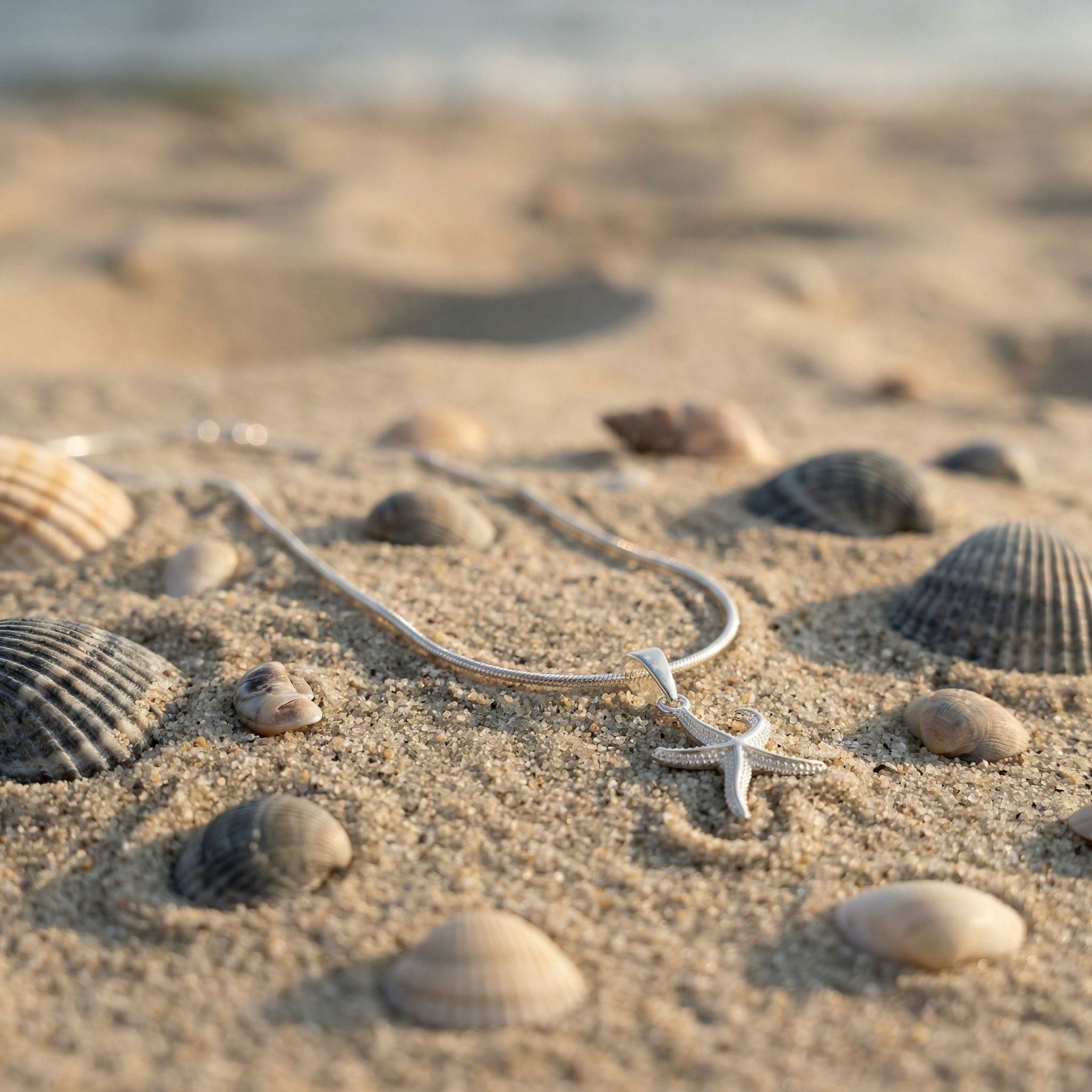 Seestern - 3 Größen