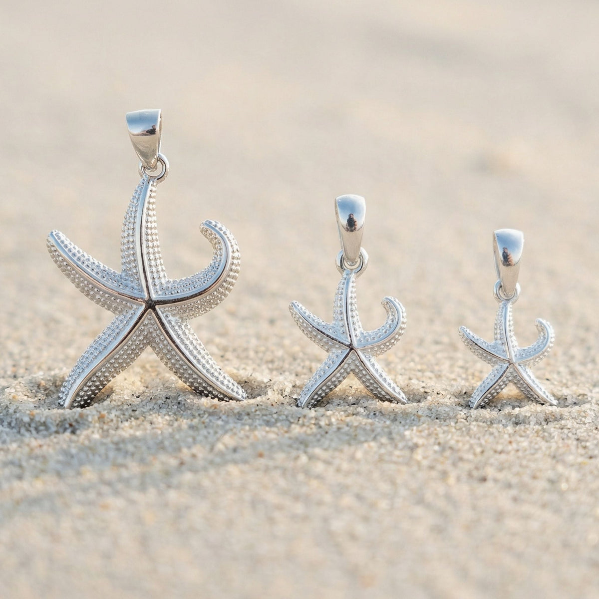 Seestern - 3 Größen