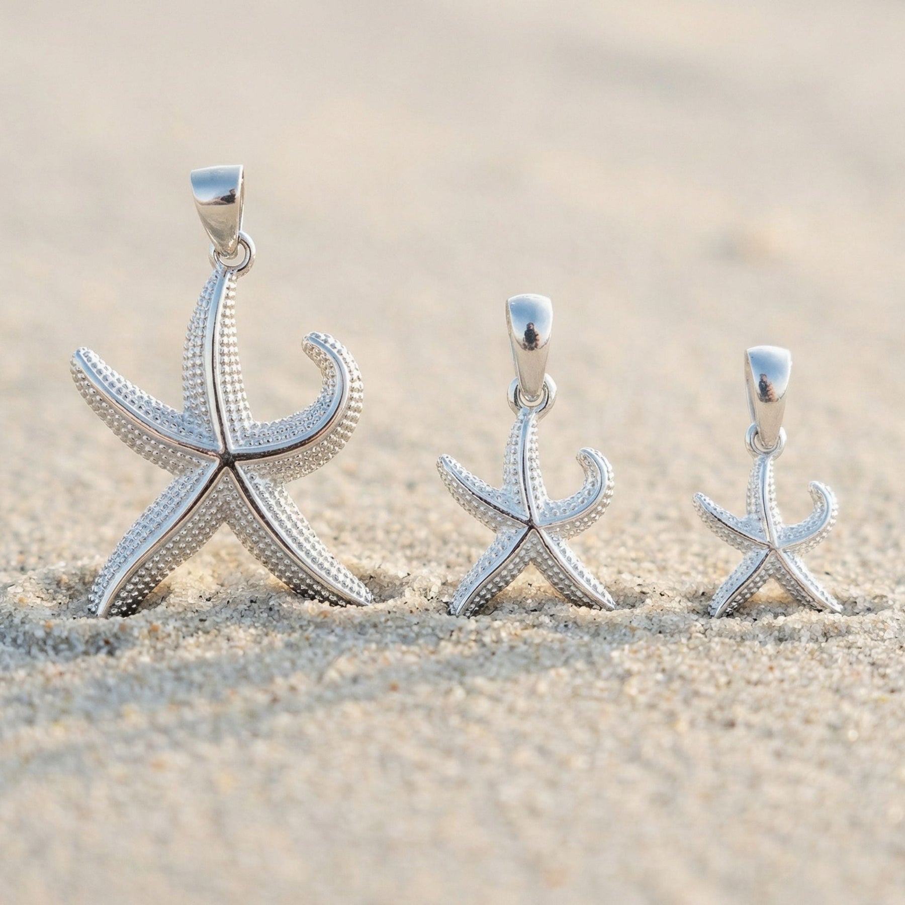 Seestern - 3 Größen