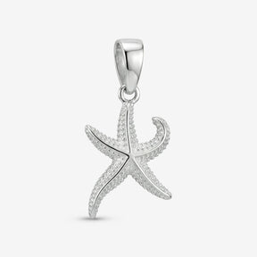 Seestern - 3 Größen