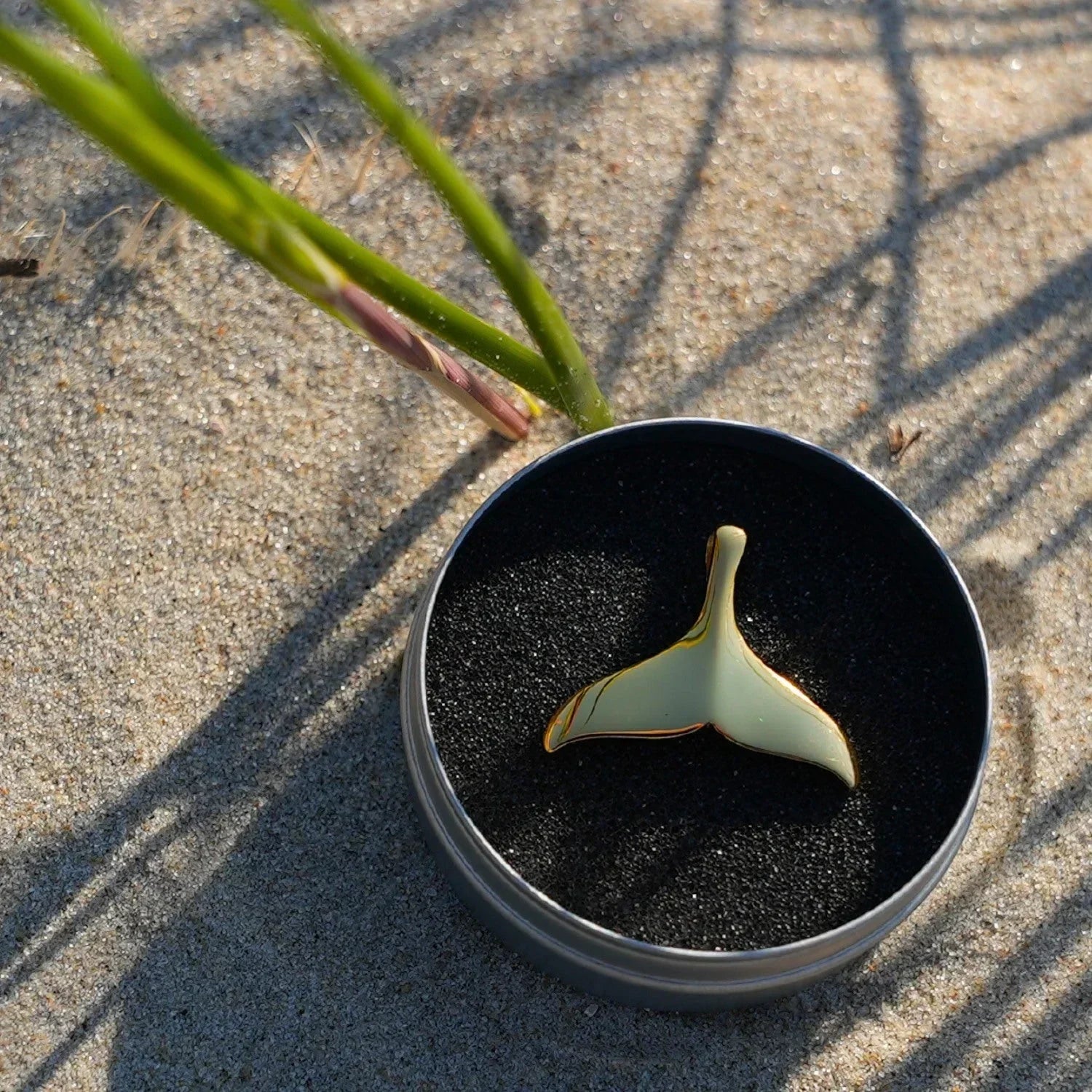 Goldener Walflossen-Anhänger als maritimer Schmuck im Etui auf Sand am Strand